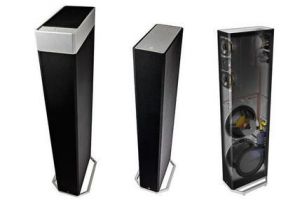 Definitive Technology: BP9080x Vloerstaande speaker - Zwart